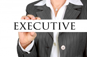 executive-454865_1920